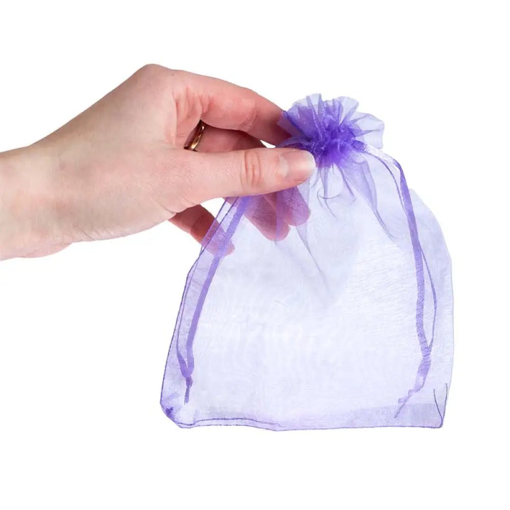 6 X 4 Organza Gift Bags (Pack Of 10)
