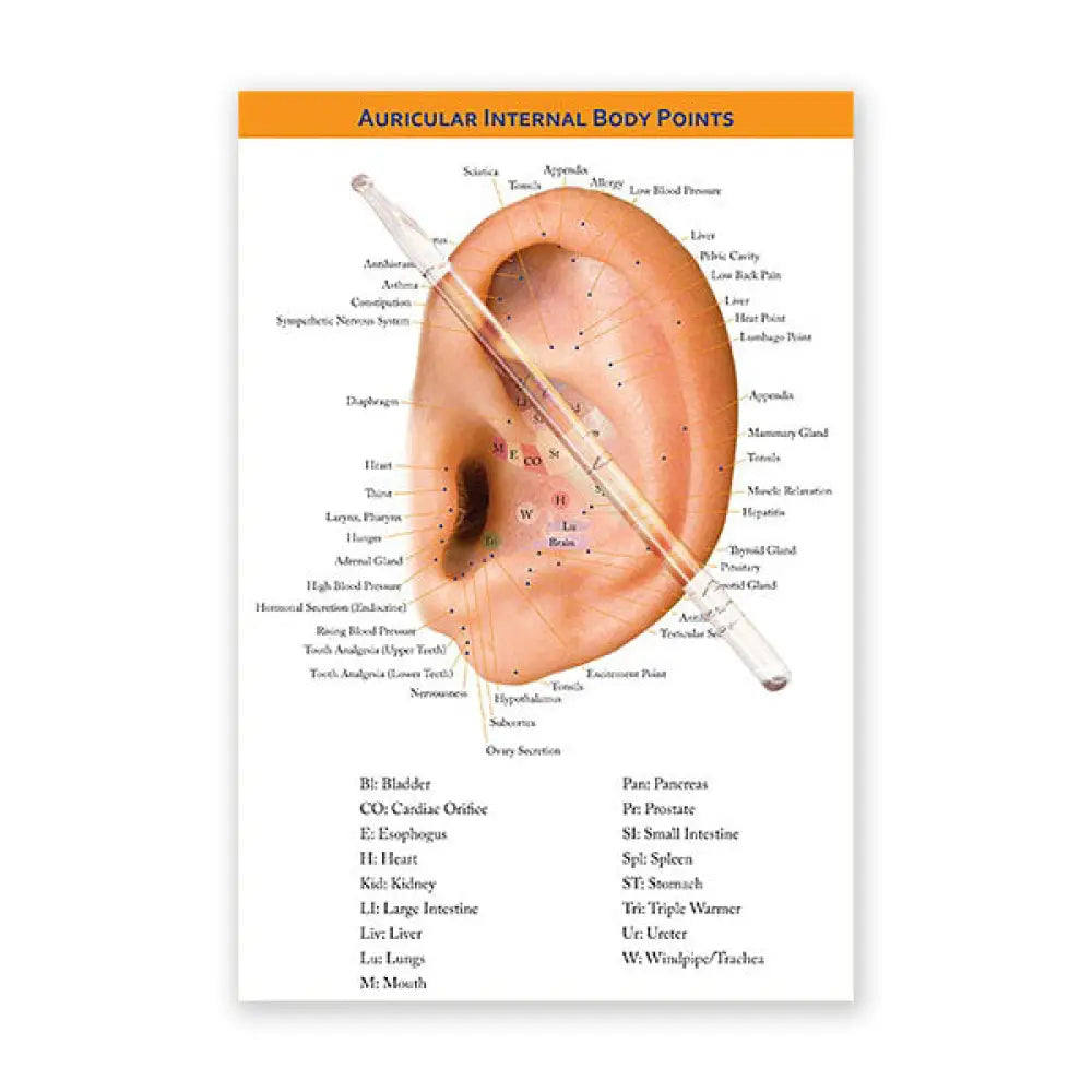 Auricular Probe and Chart