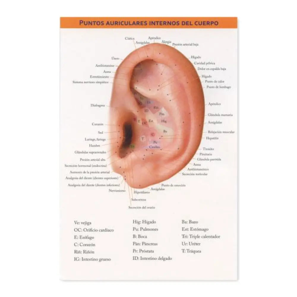 &quot;Auricular Internal Body Points&quot; Chart