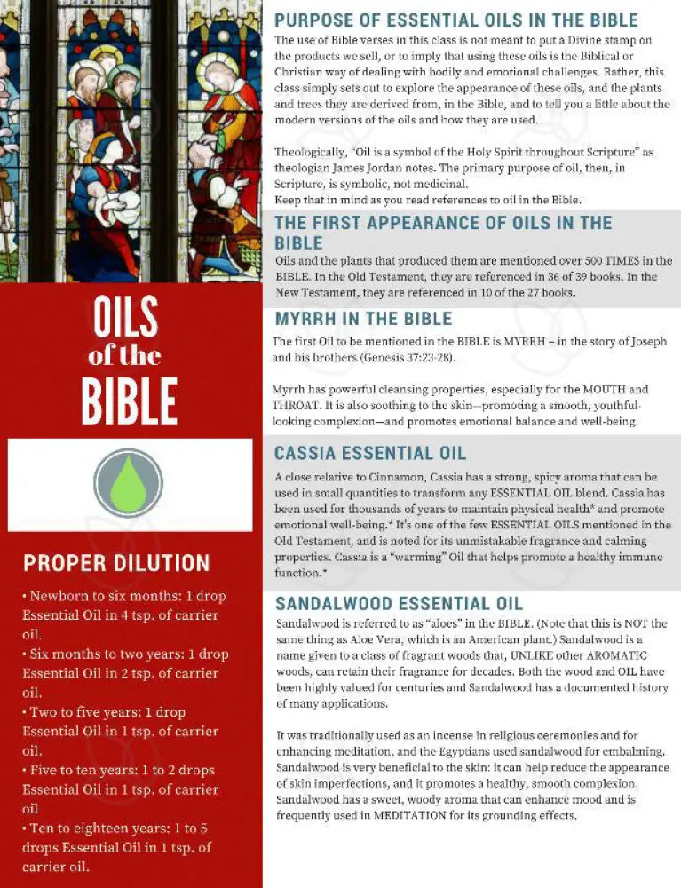 &quot;Oils for the Bible&quot; Digital Tear Pad