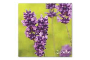 Essential Oil Word Mosaics and Photo Art Cards: lavender, back side.