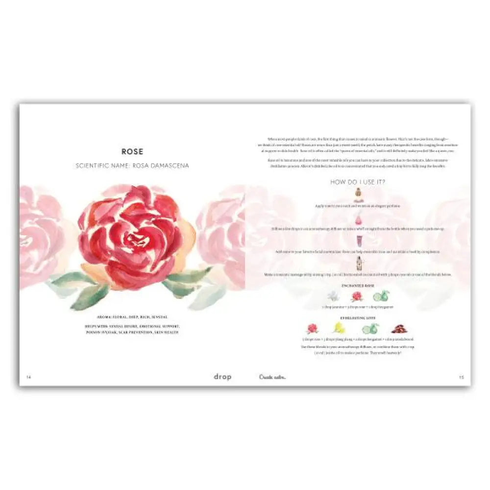 Drop Magazine Vol. 2 Summer Edition