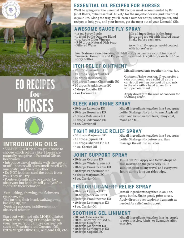 &quot;Essential Oil Recipes for Horses&quot; Digital Tear Pad