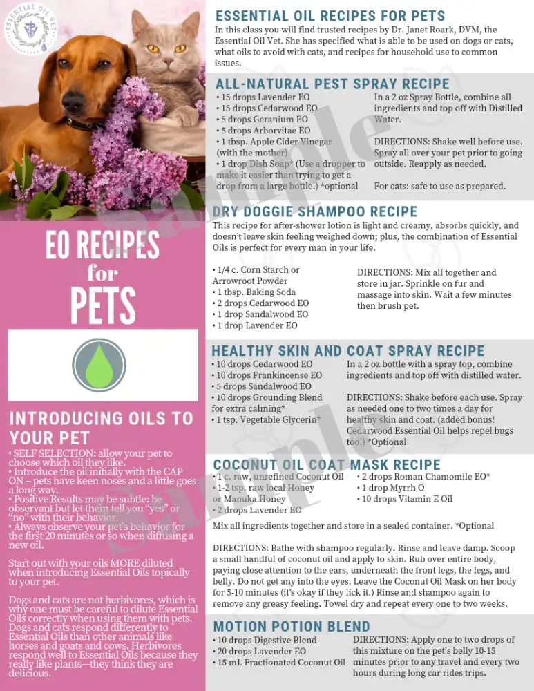 &quot;Essential Oil Recipes for Pets&quot; Digital Tear Pad
