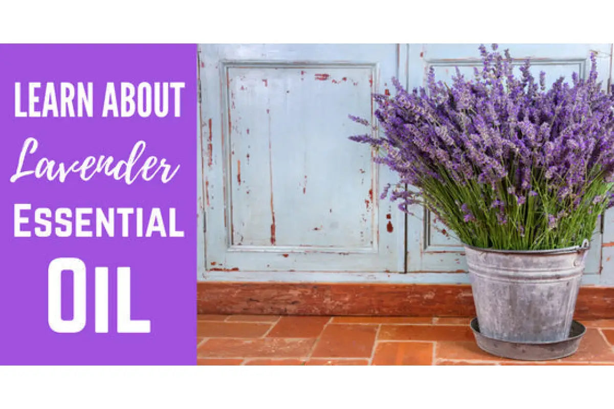 &quot;Lavender Essential Oil&quot; Essential Oil Academy Digital Online Class